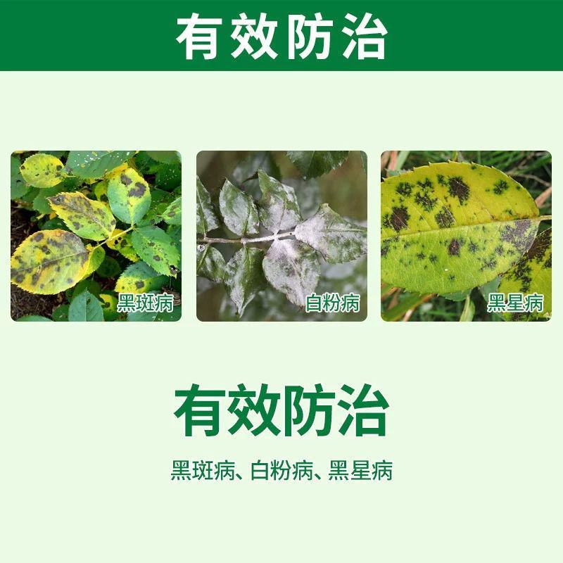 德国拜耳富力库黄瓜梨树戊唑醇黑斑病白粉病黑星病杀菌剂