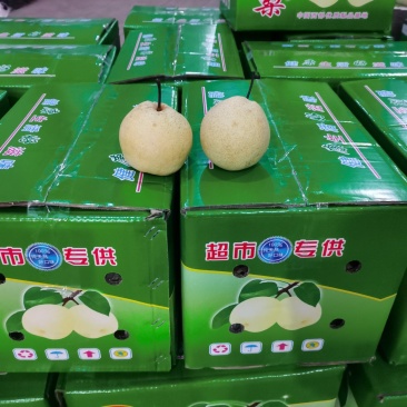（砀山酥梨）陕西蒲城产地直发，现场打包，皮薄肉厚，一件代