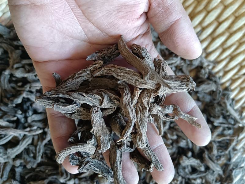 红大戟正品包检包化验冷背中药