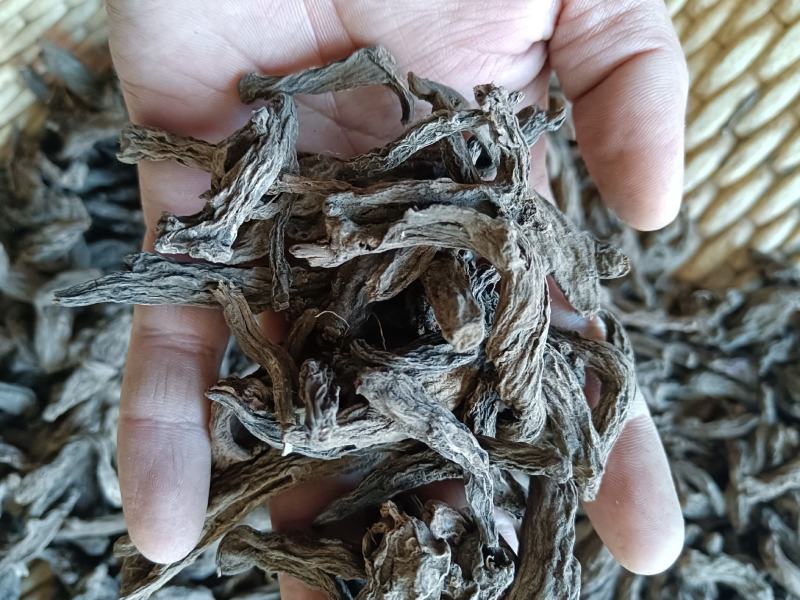 红大戟正品包检包化验冷背中药