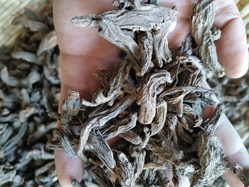 红大戟正品包检包化验冷背中药