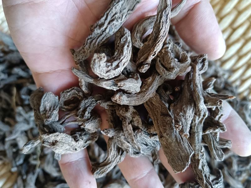 红大戟正品包检包化验冷背中药