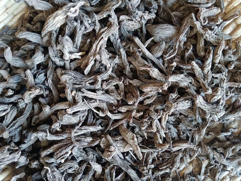 红大戟正品包检包化验冷背中药