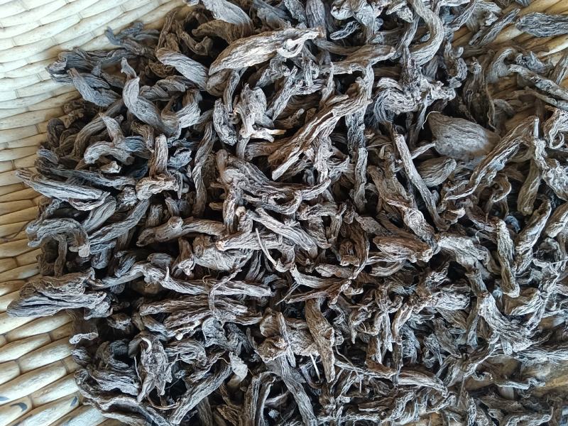 红大戟正品包检包化验冷背中药