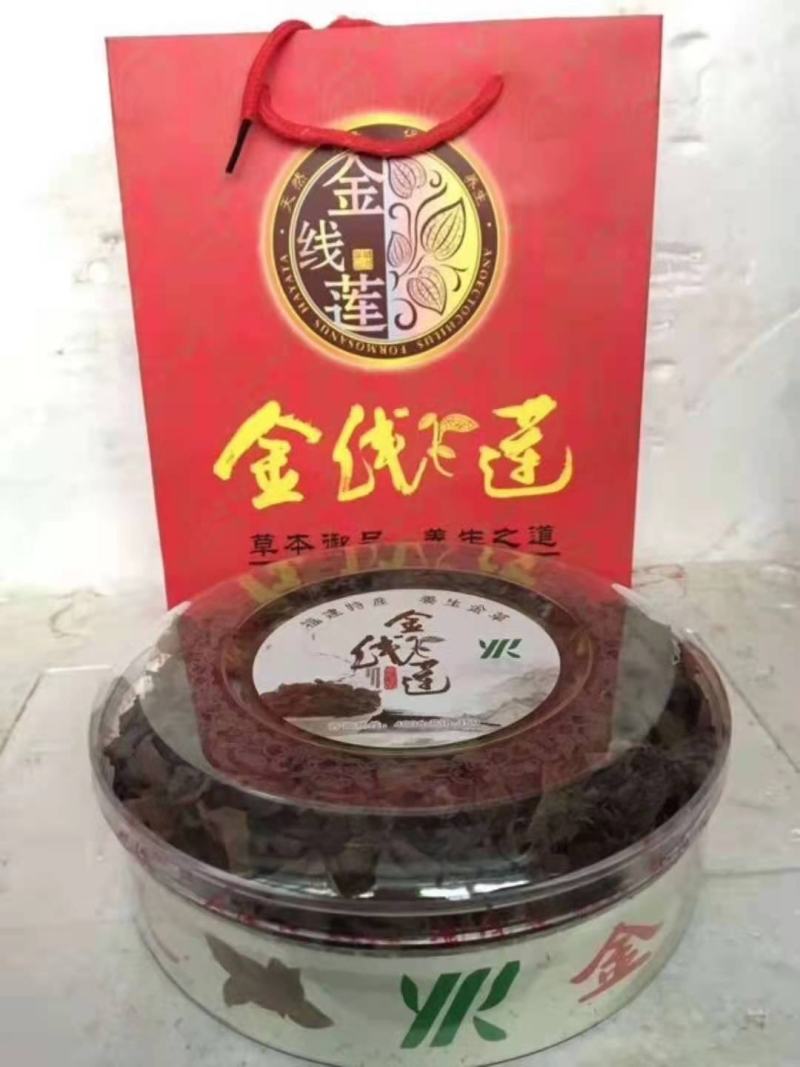 林下种植金线莲鲜品整株鲜品