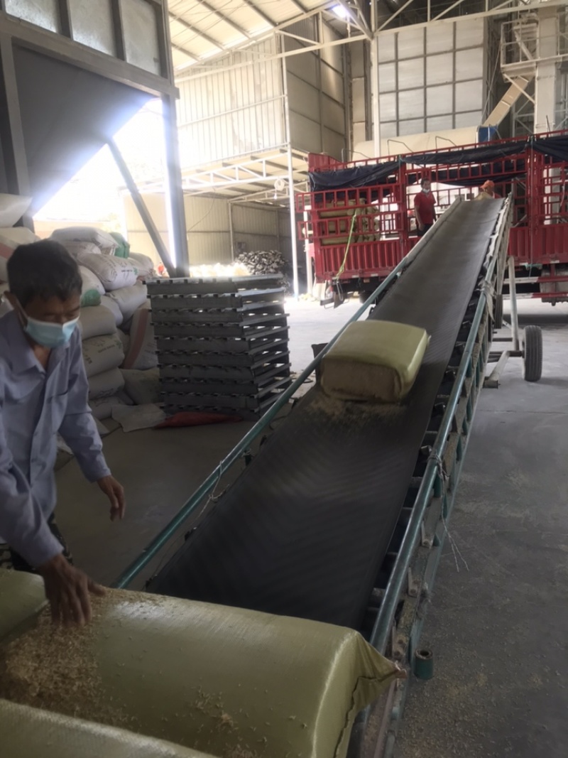 压缩稻壳谷壳打包稻壳酿酒养殖垫料新鲜出炉