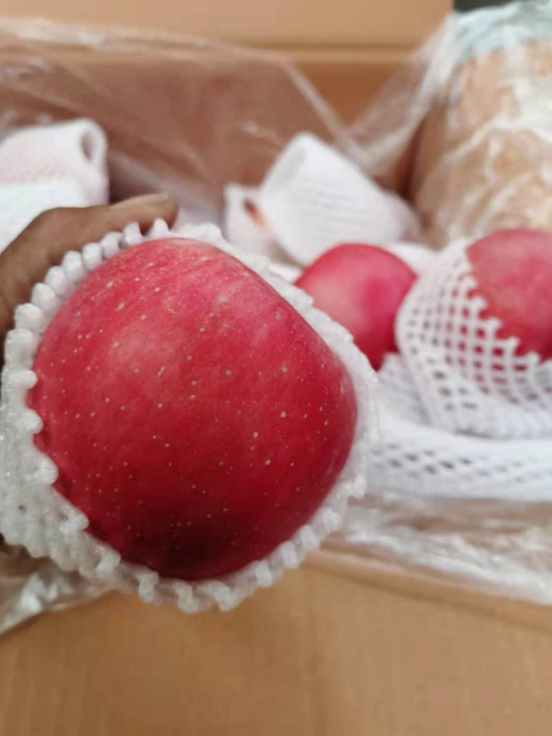 富士苹果，河北中秋王，富士苹果品种齐全，欢迎新老顾客进店