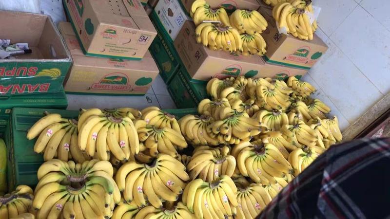 菲律宾进口香蕉！供应各大品牌商超！电商，