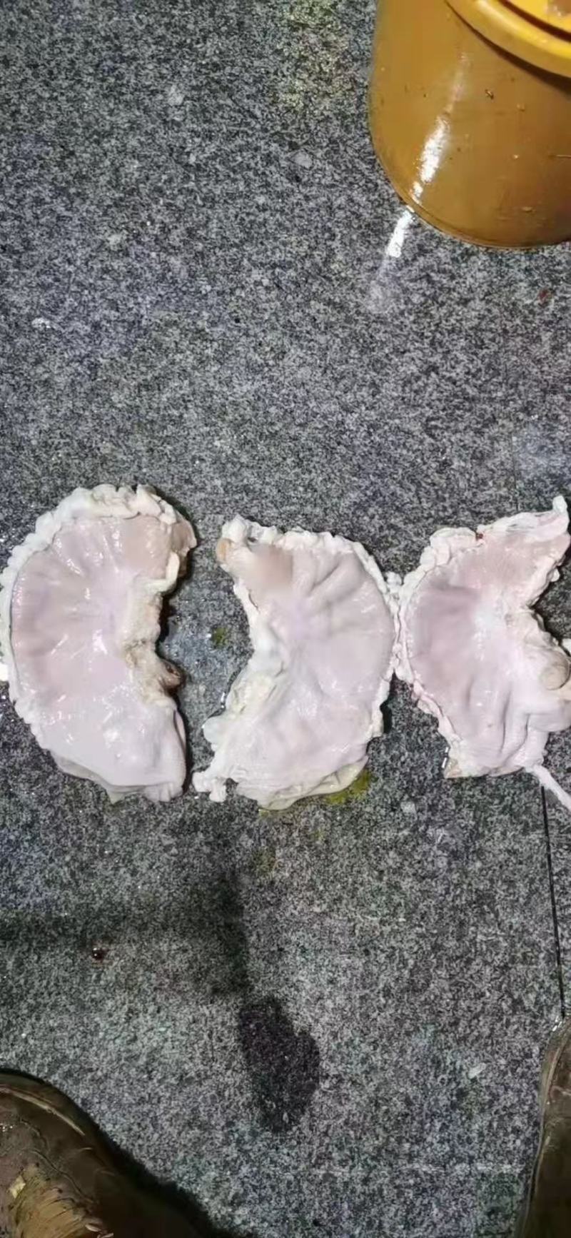 鲜标猪肚！一斤以上，微油，无水，厂家直销全国发货！