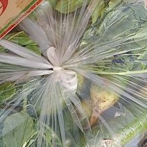 平凉市泾川县罗汉洞乡蔬菜园区，水果罗卜。货量充足。