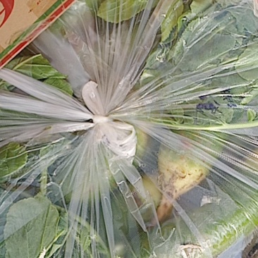 平凉市泾川县罗汉洞乡蔬菜园区，水果罗卜。货量充足。