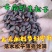 野生松子，饱满，无空壳，落水松
