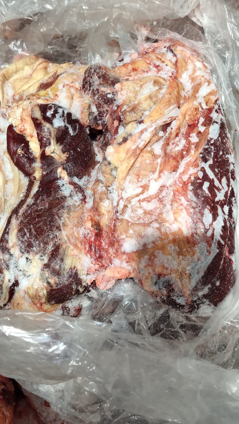 【牛护心肉】当地草原黄牛的天蓬肉，箱装新鲜速冻！纯干货！