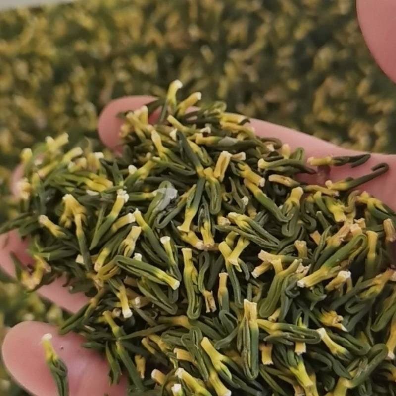 自产自销莲芯