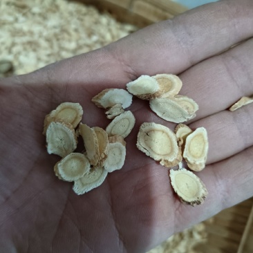 黄芪黄芪斜片颜色正刀工好正宗地产药材