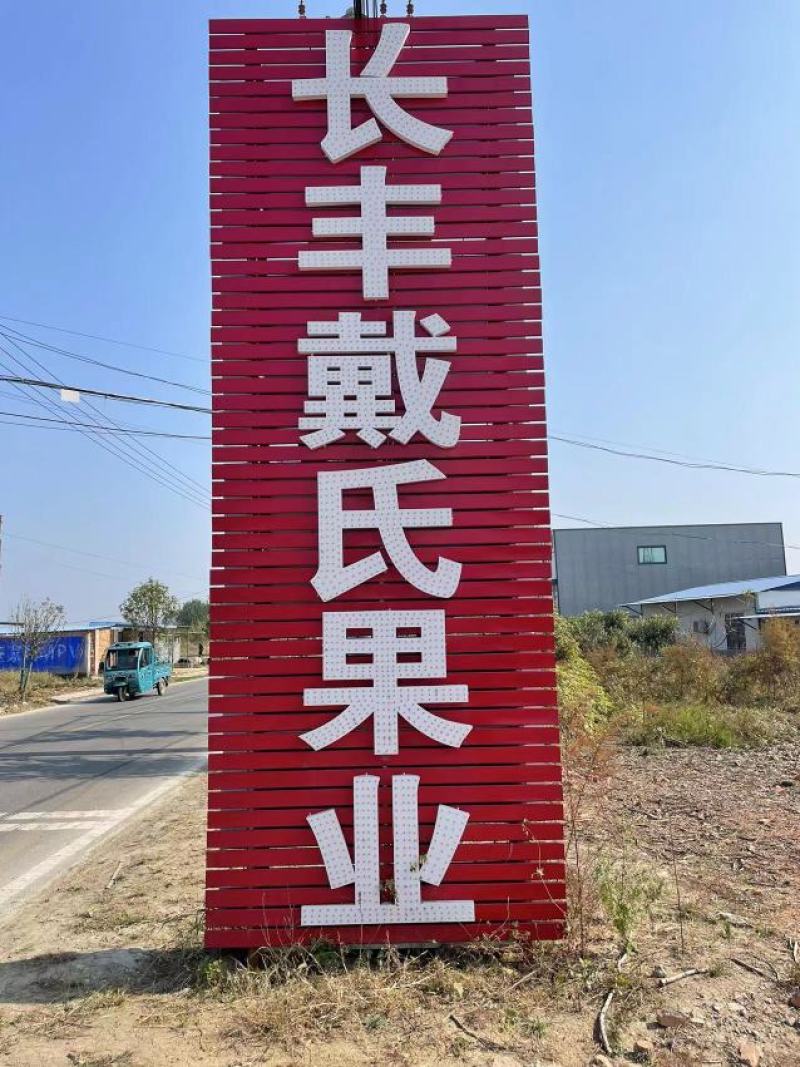 长丰草莓上市中，量大从优产地直销欢迎来电咨询。