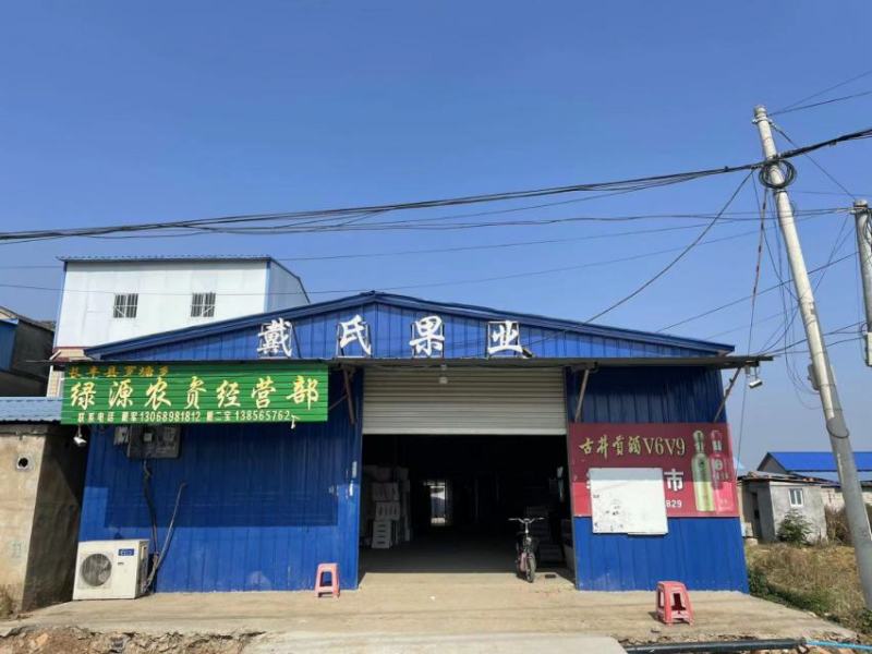 长丰草莓上市中，量大从优产地直销欢迎来电咨询。
