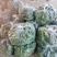 砀山有机散花大量上市中低格低质量好，远销全国各地