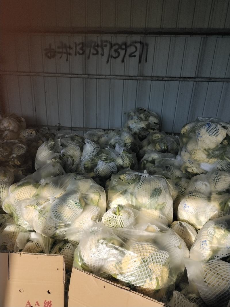 砀山有机散花大量上市中低格低质量好，远销全国各地