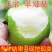 翠冠梨树苗，脆，香甜，早熟品南北方都可以种植。