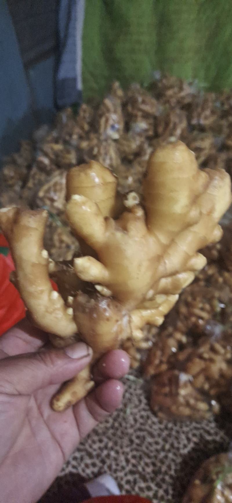 优质山东大黄姜产地批发，货源充足，包质包量，全国发货