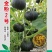 金粉2号，口感品质佳贝贝南瓜种子日本贝贝