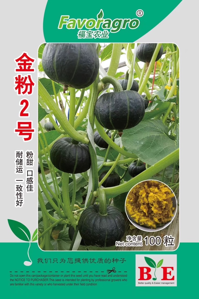 金粉2号，口感品质佳贝贝南瓜种子日本贝贝