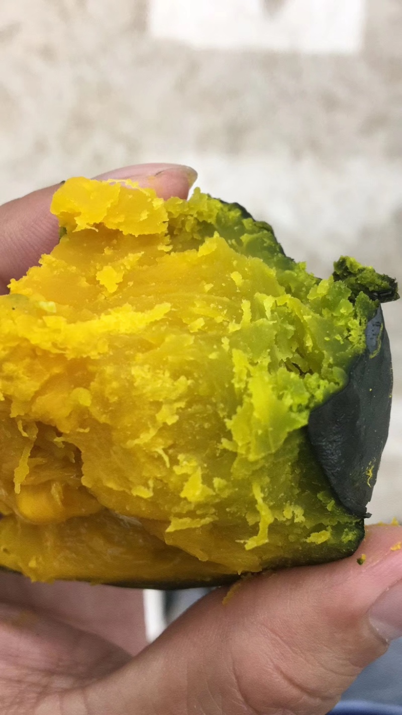 金粉2号，口感品质佳贝贝南瓜种子日本贝贝
