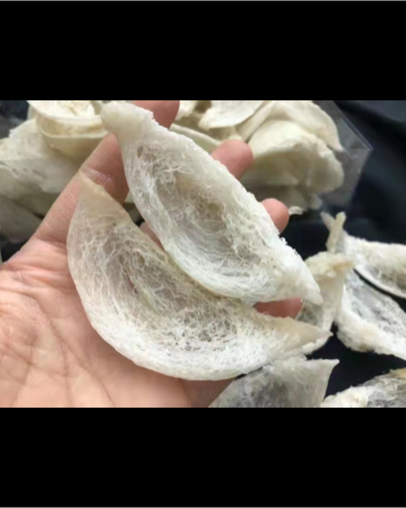 燕窝大量现货批发溯源码燕窝可视频在线观看