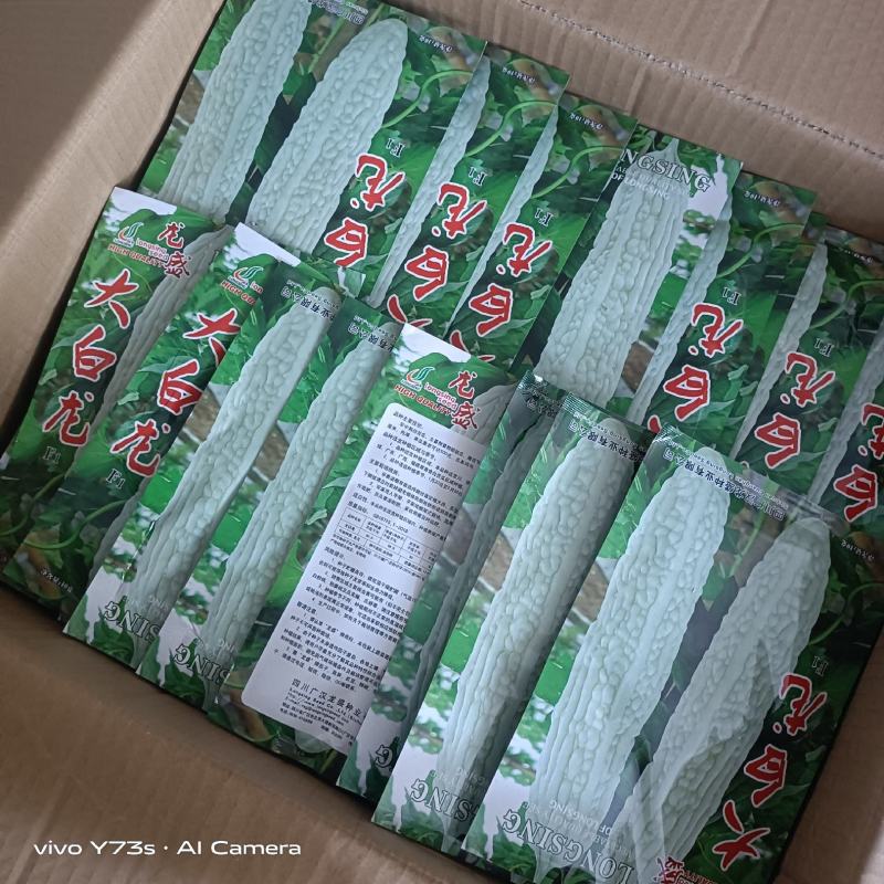 苦瓜种子苦瓜品种种子基地专用品种杂交品种