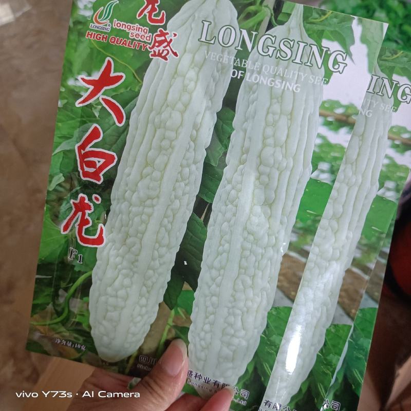 苦瓜种子苦瓜品种种子基地专用品种杂交品种
