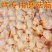 烧烤蘑菇筋，质量好，蘑菇筋，蘑菇筋，蘑菇筋，蘑菇筋