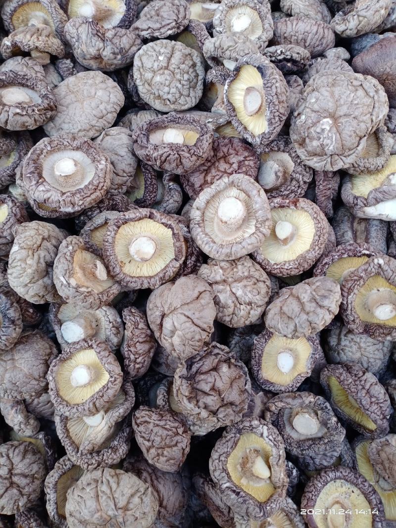 推荐【干香菇产地批发】精选各规格大中小优质秋冬厚菇香味浓