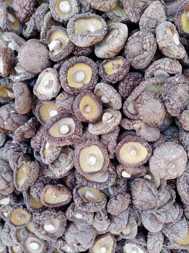 推荐【干香菇产地批发】精选各规格大中小优质秋冬厚菇香味浓