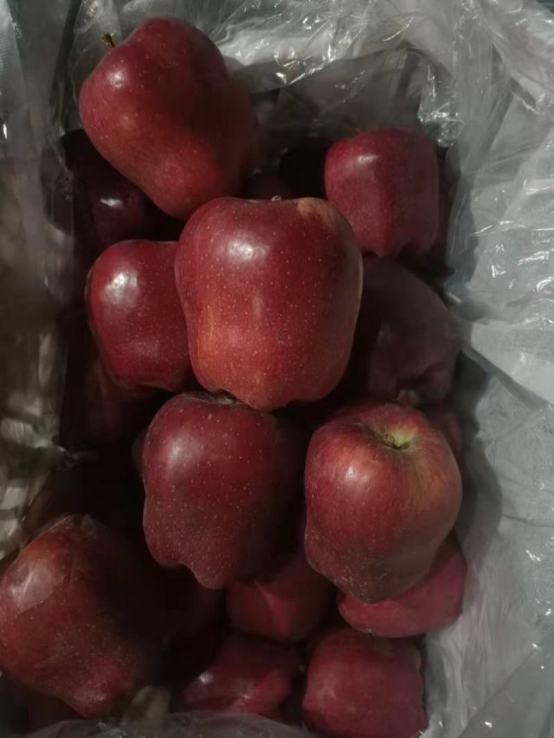 苹果专业对接各大超市，电商，快递，社区水果团购，社区水果