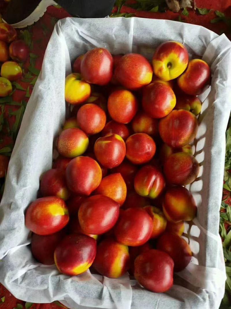 苹果专业对接各大超市，电商，快递，社区水果团购，社区水果