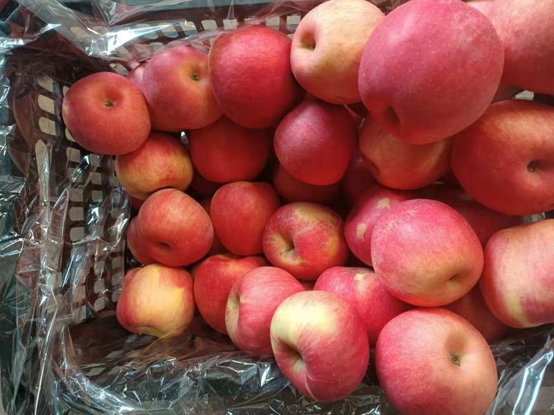 苹果专业对接各大超市，电商，快递，社区水果团购，社区水果
