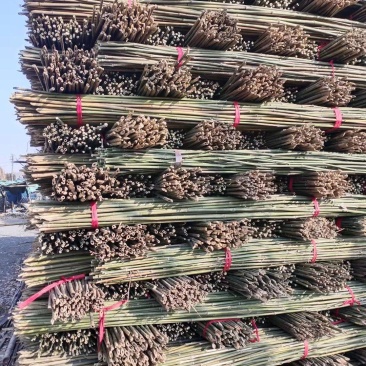 菜架竹架菜竹山药豆角西红柿黄瓜用小竹竿