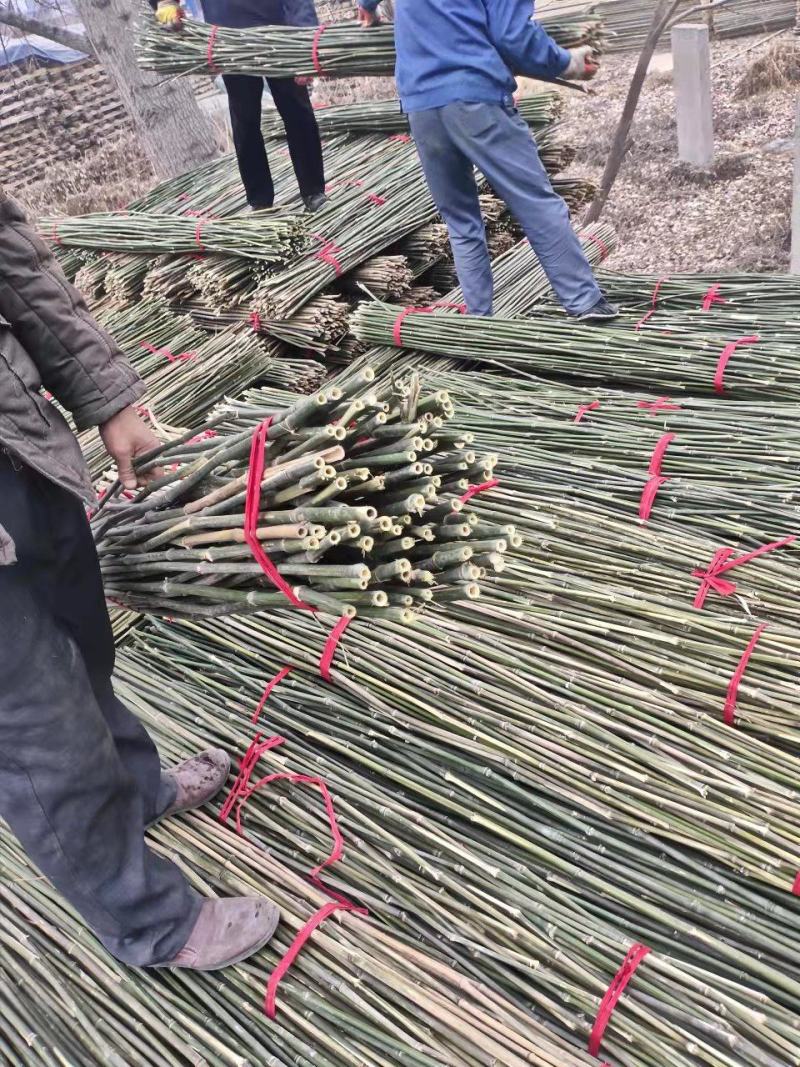 菜架竹架菜竹山药豆角西红柿黄瓜用小竹竿