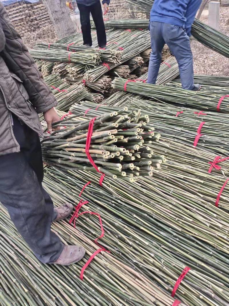 菜架竹架菜竹山药豆角西红柿黄瓜用小竹竿