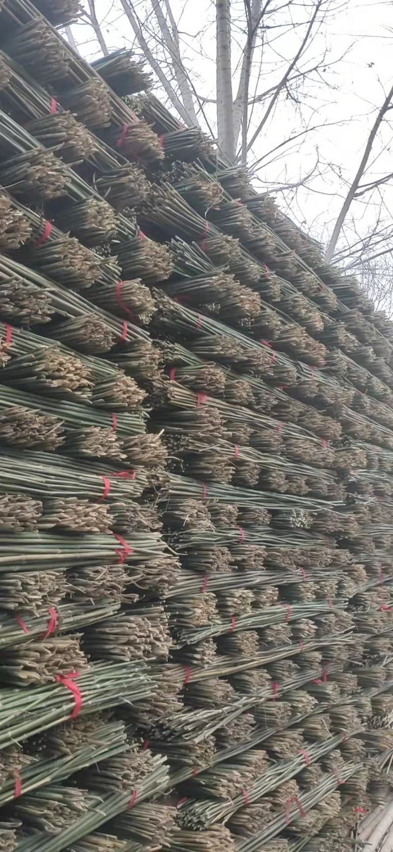 菜架竹架菜竹山药豆角西红柿黄瓜用小竹竿