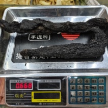 包邮纯野生肉苁蓉新货，熟的，一公斤1000克起发