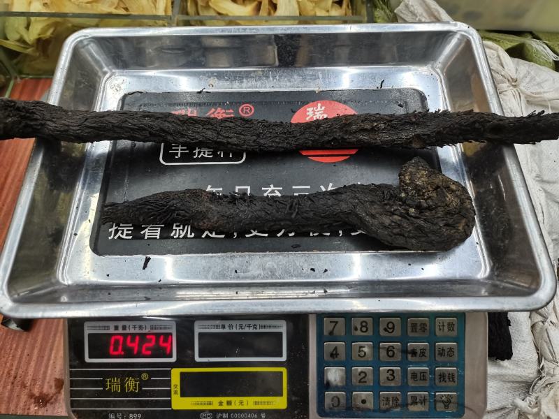 包邮纯野生肉苁蓉新货，熟的，一公斤1000克起发