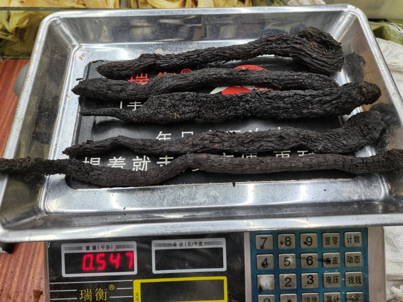 包邮纯野生肉苁蓉新货，熟的，一公斤1000克起发