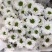 年宵花云南鲜花小雏菊批发鲜切花小雏菊颜色齐全包邮