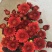 年宵花云南鲜花小雏菊批发鲜切花小雏菊颜色齐全包邮