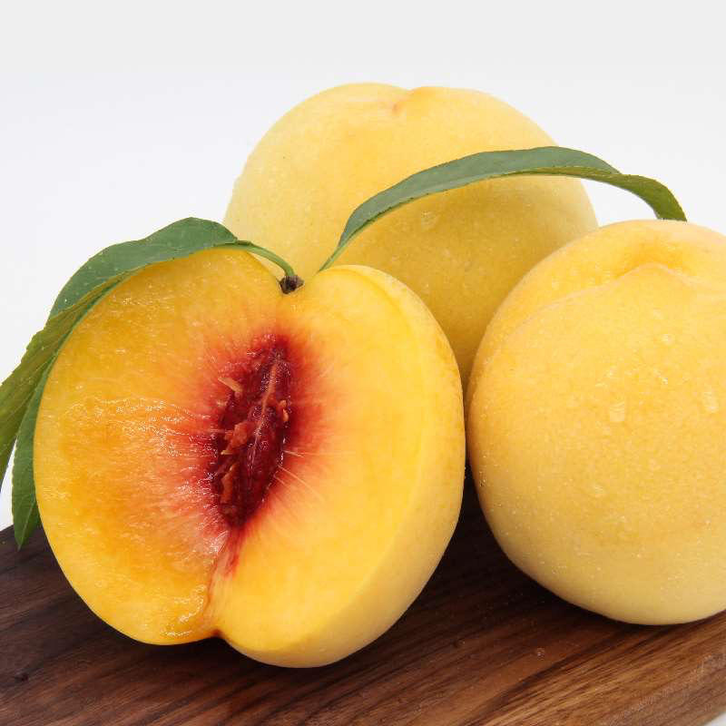 锦绣黄桃种苗可使用可做罐头的一款黄桃树苗