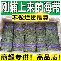 烘干海带丝干货干海带丝厚烘干无沙免煮凉拌菜多规格特价包邮