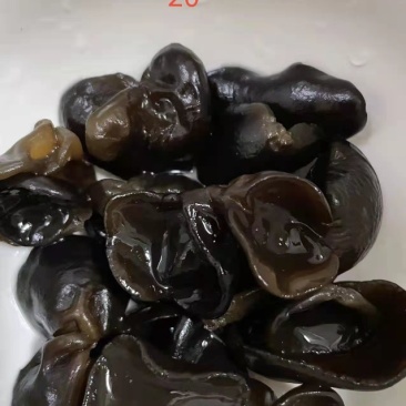 黑木耳秋木耳碗耳黑龙江产地一手货源批发