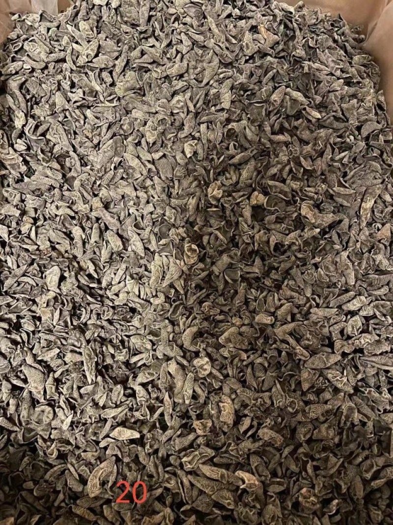 黑木耳秋木耳碗耳黑龙江产地一手货源批发